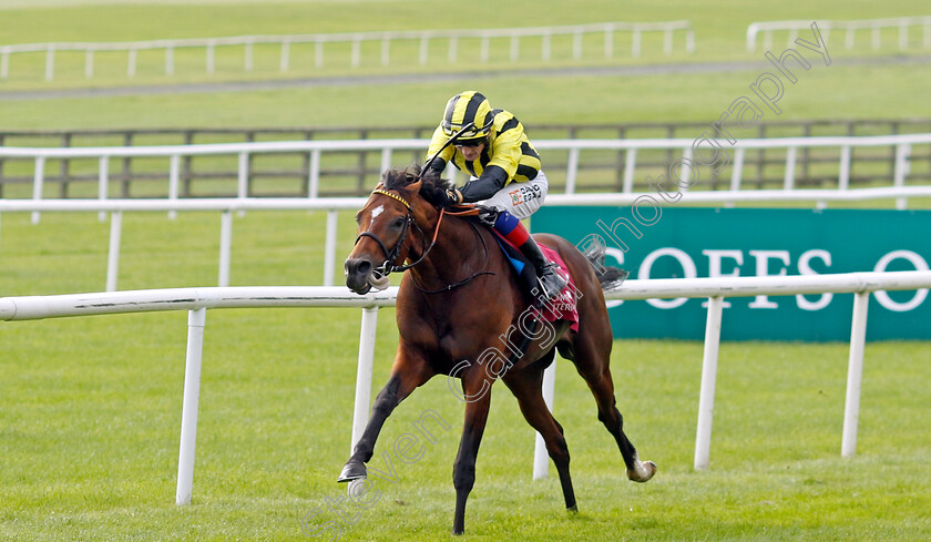 Eldar-Eldarov-0004 
 ELDAR ELDAROV (David Egan) wins The Comer Group International Irish St Leger 
The Curragh 10 Sep 2023 - Pic Steven Cargill / Racingfotos.com