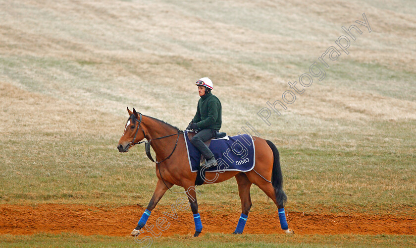 Enable-0006 
 ENABLE walking back to her stable after cantering on Warren Hill Newmarket 24 Mar 2018 - Pic Steven Cargill / Racingfotos.com