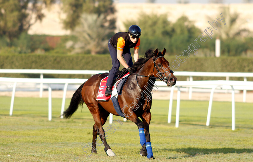 Lead-Artist-0002 
 LEAD ARTIST training for the Bahrain International Trophy
Kingdom of Bahrain 13 Nov 2024 - Pic Steven Cargill / Racingfotos.com