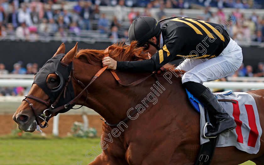 Ritzy-A-P-0002 
 RITZY A P (Flavien Prat) wins Allowance race at Del Mar, USA 3 Nov 2017 - Pic Steven Cargill / Racingfotos.com