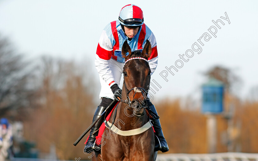 Simply-The-Betts-0001 
 SIMPLY THE BETTS (Bryan Cooper) Kempton 26 Dec 2017 - Pic Steven Cargill / Racingfotos.com