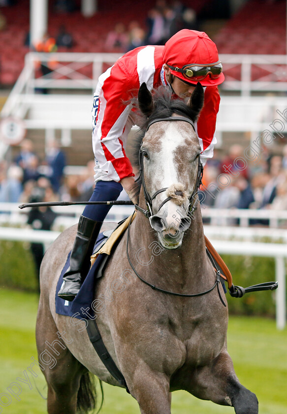 Berkshire-Breeze-0001 
 BERKSHIRE BREEZE (David Probert)
Chester 4 May 2022 - Pic Steven Cargill / Racingfotos.com