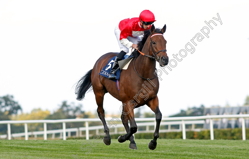 Rogue-Millennium-0001 
 ROGUE MILLENNIUM (Daniel Tudhope)
Leopardstown 9 Sep 2023 - Pic Steven Cargill / Racingfotos.com