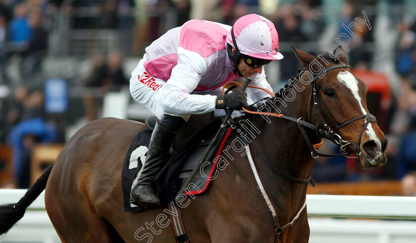 Ask-Dillon-0008 
 ASK DILLON (Paddy Brennan) wins The Eventmasters.co.uk Maiden Hurdle
Ascot 21 Dec 2018 - Pic Steven Cargill / Racingfotos.com