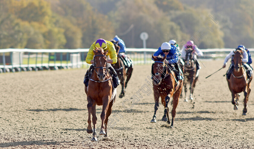 Sea-La-Rosa-0002 
 SEA LA ROSA (Tom Marquand) wins The Coral EBF River Eden Fillies Stakes
Lingfield 28 Oct 2021 - Pic Steven Cargill / Racingfotos.com