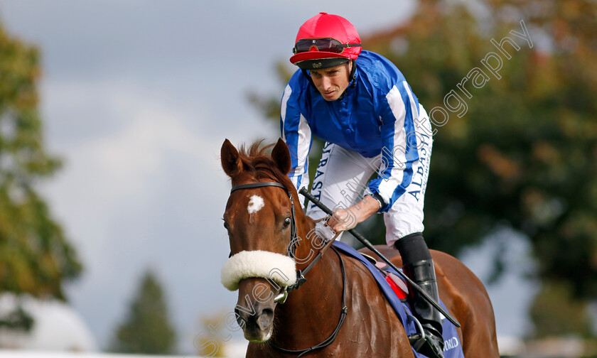 Dubai-Jemila-0001 
 DUBAI JEMILA (Ryan Moore)
Newmarket 23 Sep 2022 - Pic Steven Cargill / Racingfotos.com