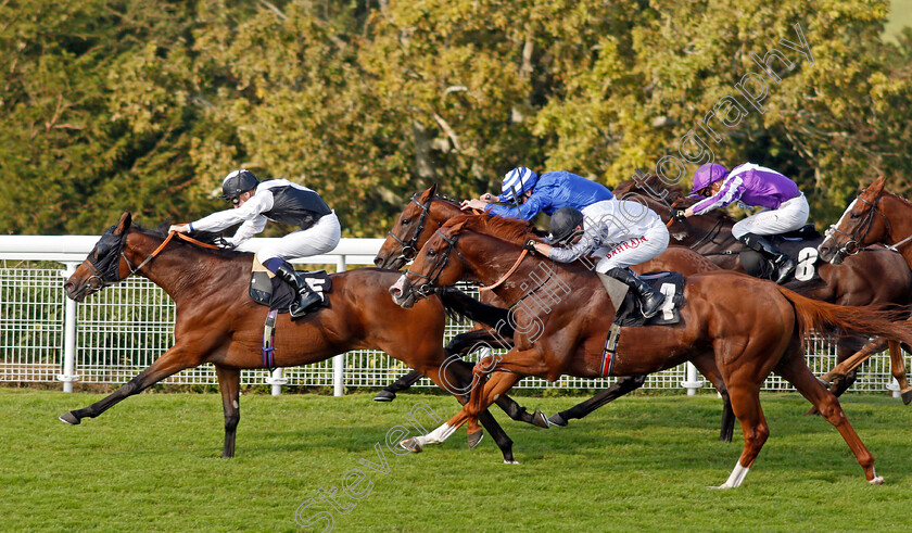 Victory-Chime-0011 
 VICTORY CHIME (Hector Crouch) beats TYSON FURY (right) in The Best of British Events Foundation Stakes
Goodwood 22 Sep 2021 - Pic Steven Cargill / Racingfotos.com