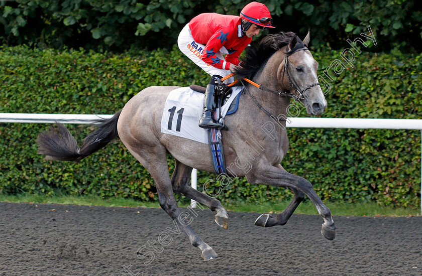 Takeustothemoon-0001 
 TAKEUSTOTHEMOON (Trevor Whelan)
Kempton 3 Sep 2021 - Pic Steven Cargill / Racingfotos.com