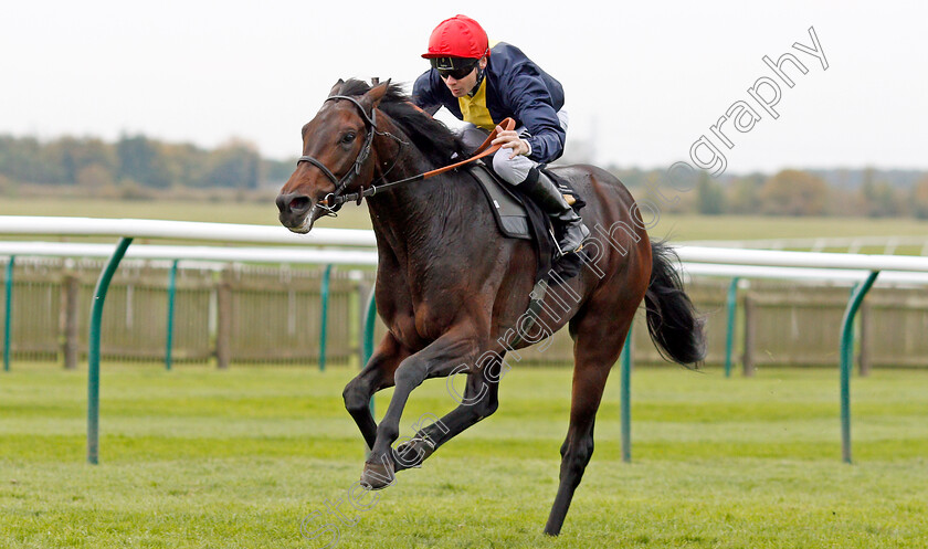 Brentford-Hope-0005 
 BRENTFORD HOPE (Jamie Spencer) wins The Coates & Seely Brut Reserve Maiden Stakes
Newmarket 23 Oct 2019 - Pic Steven Cargill / Racingfotos.com