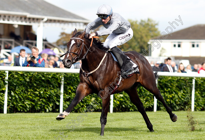 Soldier s-Call-0003 
 SOLDIER'S CALL (Daniel Tudhope) wins The Wainwrights Flying Childers Stakes
Doncaster 14 Sep 2018 - Pic Steven Cargill / Racingfotos.com