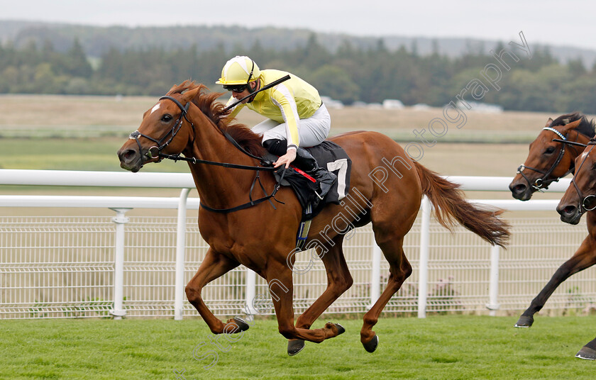 Choisya-0003 
 CHOISYA (Jack Mitchell) wins The Coral Fillies Handicap
Goodwood 1 Aug 2023 - Pic Steven Cargill / Racingfotos.com