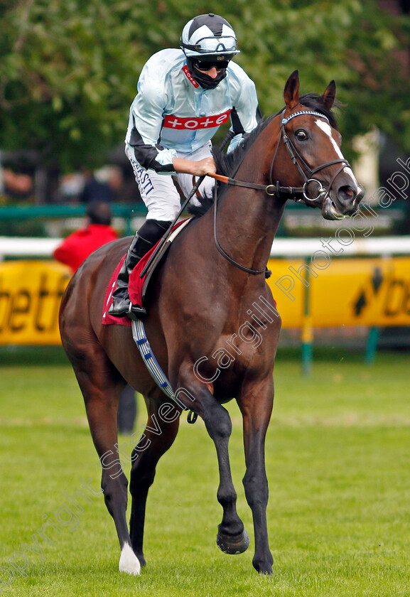 Alenquer-0001 
 ALENQUER (Tom Marquand)
Haydock 5 Sep 2020 - Pic Steven Cargill / Racingfotos.com