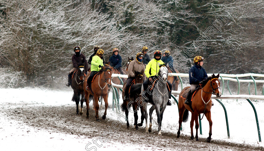 Newmarket-Snow-0008 
 Racehorses training in the snow at Newmarket
1 Feb 2019 - Pic Steven Cargill / Racingfotos.com