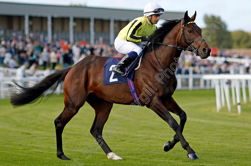 Flying-Fortress-0002 
 FLYING FORTRESS (Silvestre de Sousa)
Yarmouth 17 Sep 2024 - Pic Steven Cargill / Racingfotos.com