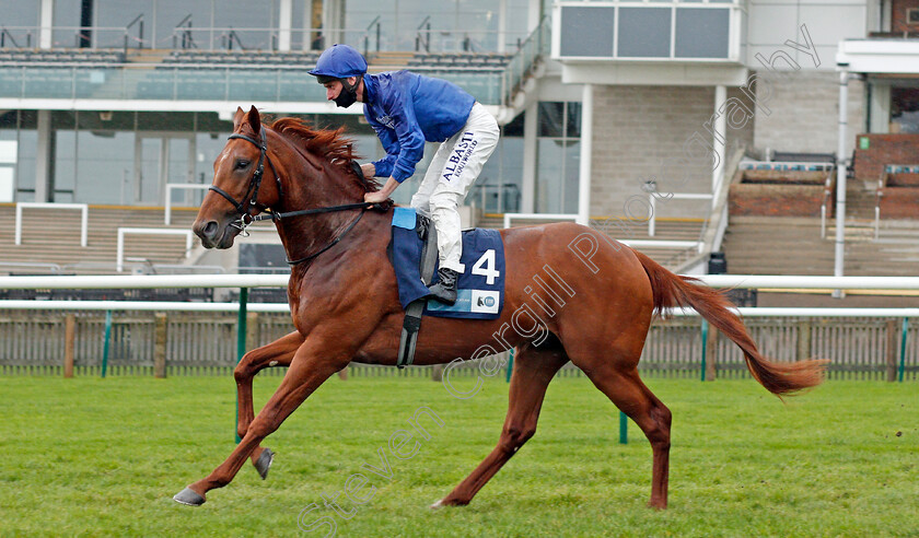 Hurricane-Lane-0002 
 HURRICANE LANE (Adam Kirby) winner of The British EBF Future Stayers Novice Stakes
Newmarket 21 Oct 2020 - Pic Steven Cargill / Racingfotos.com