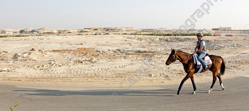 Magny-Cours-0001 
 MAGNY COURS exercising in preparation for Friday's Bahrain International Trophy
Sakhir Racecourse, Bahrain 17 Nov 2021 - Pic Steven Cargill / Racingfotos.com