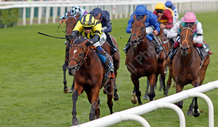 Eldar-Eldarov-0005 
 ELDAR ELDAROV (David Egan) wins The Cazoo St Leger Stakes
Doncaster 11 Sep 2022 - Pic Steven Cargill / Racingfotos.com