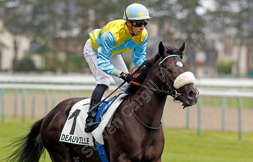 Eagle-Gate-0002 
 EAGLE GATE (Cristian Demuro)
Deauville 3 Aug 2024 - Pic Steven Cargill / Racingfotos.com