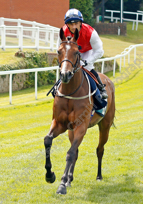 West-End-Girl-0001 
 WEST END GIRL (Silvestre De Sousa)
Sandown 25 Jul 2019 - Pic Steven Cargill / Racingfotos.com