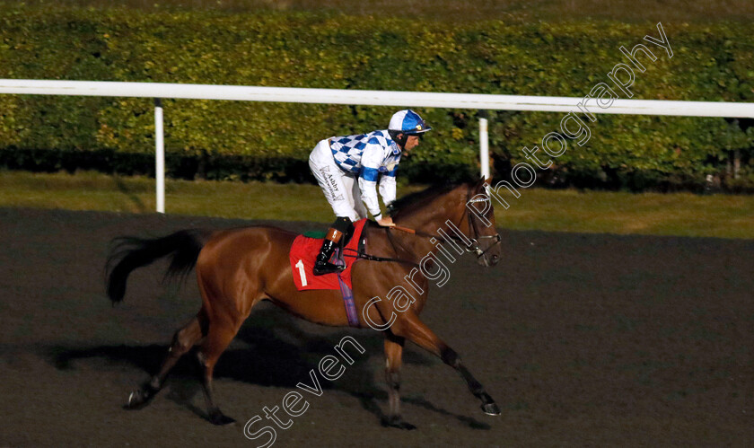 Machete-Beach-0002 
 MACHETE BEACH (Rossa Ryan)
Kempton 6 Sep 2024 - Pic Steven Cargill / Racingfotos.com