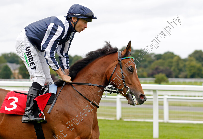 Celestial-Orbit-0009 
 CELESTIAL ORBIT (Jamie Spencer) winner of The European Bloodstock News EBF Star Stakes
Sandown 25 Jul 2024 - Pic Steven Cargill / Racingfotos.com