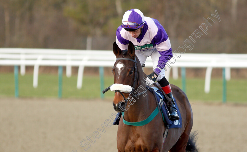 Oborne-Lady-0001 
 OBORNE LADY (Shane Kelly)
Lingfield 2 Feb 2019 - Pic Steven Cargill / Racingfotos.com