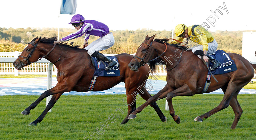 Magical-0004 
 MAGICAL (Donnacha O'Brien) beats ADDEYBB (right) in The Qipco Champion Stakes
Ascot 19 Oct 2019 - Pic Steven Cargill / Racingfotos.com