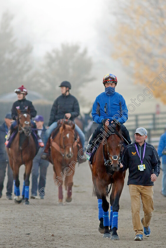 Mishriff-0007 
 MISHRIFF (Frankie Dettori) training for the Breeders' Cup Turf
Keeneland USA 3 Nov 2022 - Pic Steven Cargill / Racingfotos.com