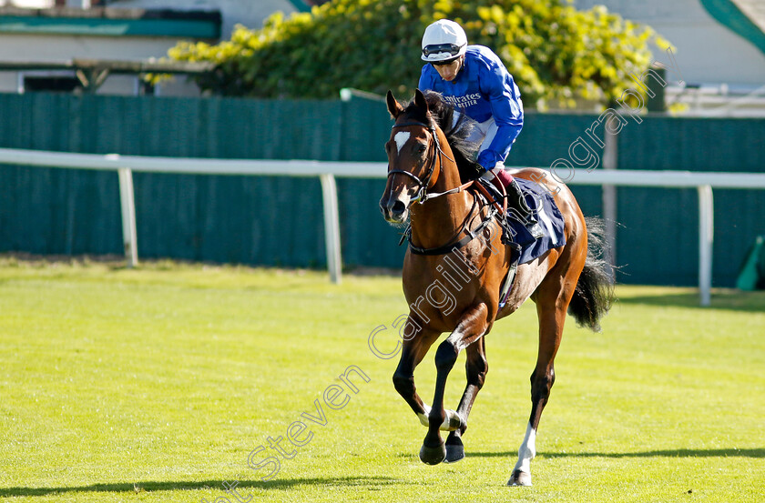 Midnight-Thunder-0007 
 MIDNIGHT THUNDER (Oisin Murphy) winner of The British Stallion Studs EBF Novice Stakes
Yarmouth 17 Sep 2024 - Pic Steven Cargill / Racingfotos.com