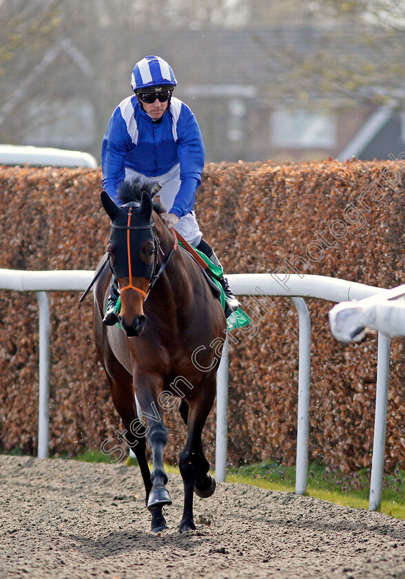 Rajaam-0001 
 RAJAAM (Jim Crowley) Kempton 7 Apr 2018 - Pic Steven Cargill / Racingfotos.com