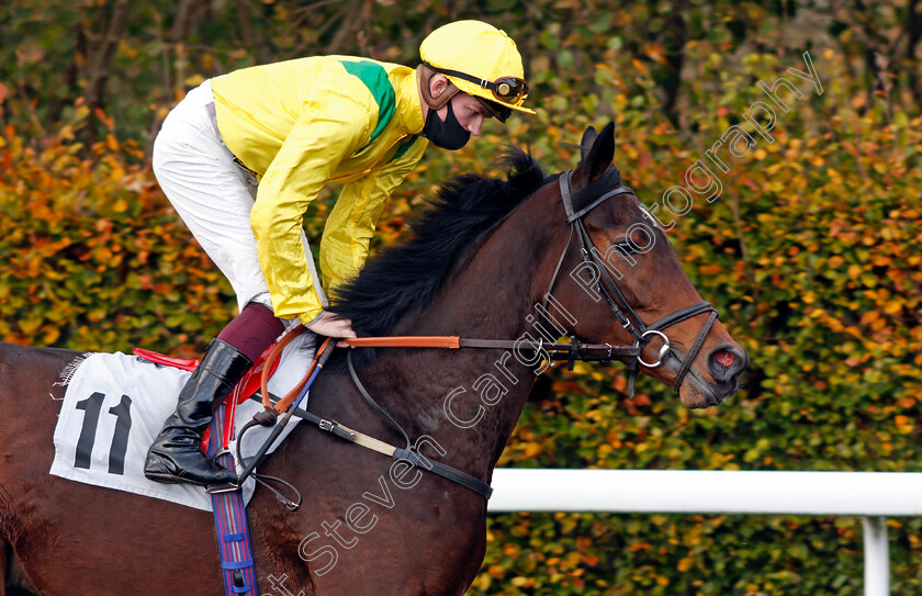 Restricted-Access-0001 
 RESTRICTED ACCESS (Rob Hornby)
Kempton 2 Nov 2020 - Pic Steven Cargill / Racingfotos.com