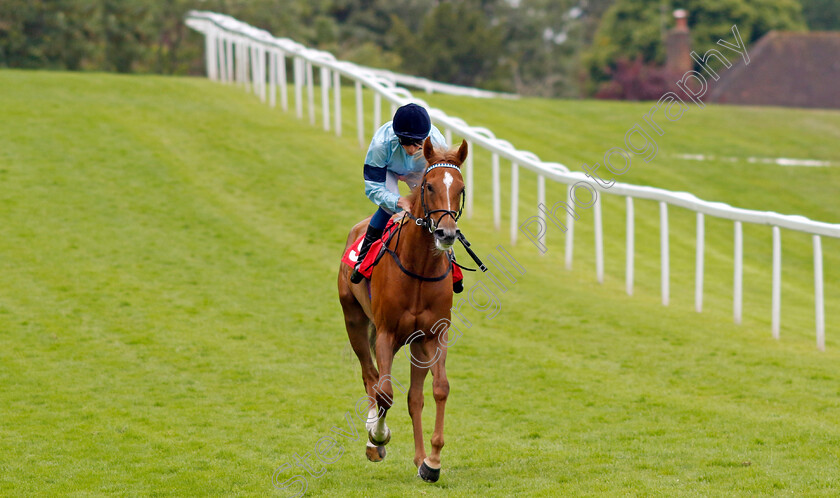 Soprano-0002 
 SOPRANO (William Buick)
Sandown 27 Jul 2023 - Pic Steven Cargill / Racingfotos.com