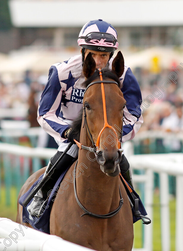 Circe-0008 
 CIRCE (Sean Levey) winner of The Coopers Marquees EBF Maiden Fillies Stakes
Doncaster 15 Sep 2023 - Pic Steven Cargill / Racingfotos.com