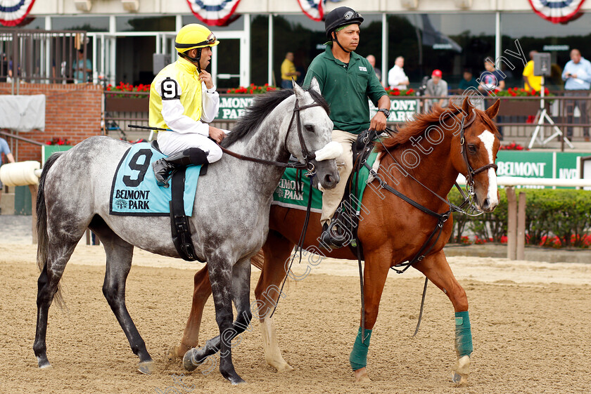 Canessar-0001 
 CANESSAR (Joel Rosario)
Belmont Park 7 Jun 2019 - Pic Steven Cargill / Racingfotos.com