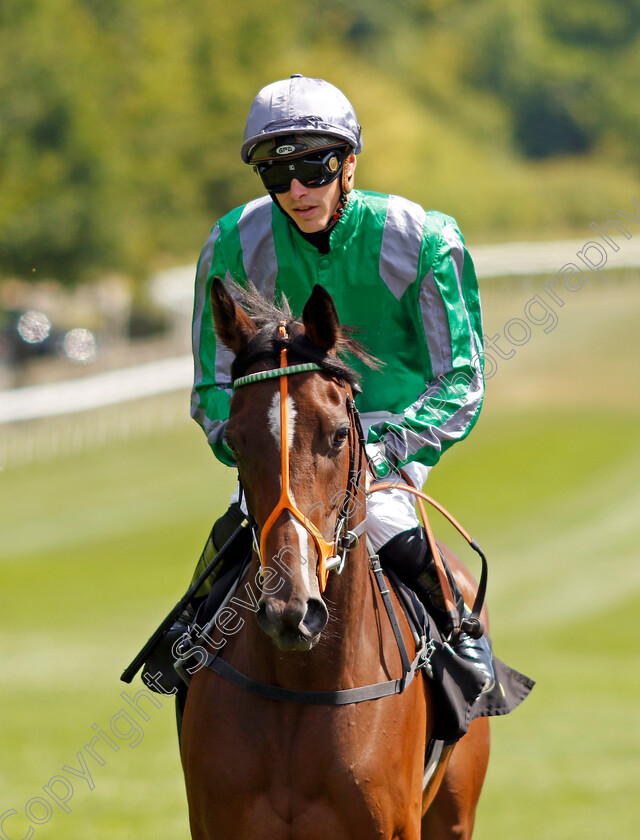 Ellade 
 ELLADE (James Doyle)
Newmarket 9 Jul 2022 - Pic Steven Cargill / Racingfotos.com