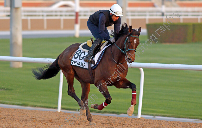 Revamp-0002 
 REVAMP exercising for Greek trainer Christos Theodorakis
Meydan, Dubai, 3 Feb 2022 - Pic Steven Cargill / Racingfotos.com