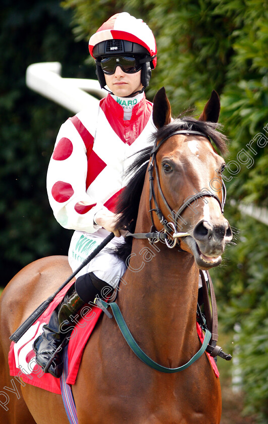 Liberty-Beach-0002 
 LIBERTY BEACH (Jason Hart) before The Chasemore Farm Dragon Stakes
Sandown 5 Jul 2019 - Pic Steven Cargill / Racingfotos.com