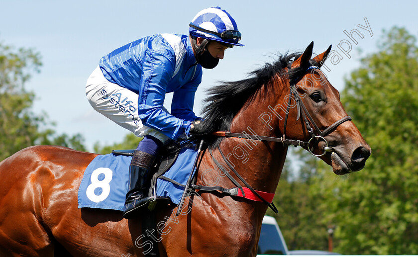 Qasaad-0002 
 QASAAD (Jim Crowley)
Salisbury 8 Jun 2021 - Pic Steven Cargill / Racingfotos.com