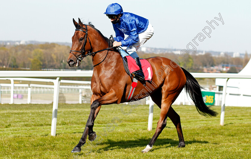 Nash-Nasha-0002 
 NASH NASHA (William Buick) winner of The bet365 Fillies Novice Stakes
Sandown 23 Apr 2021 - Pic Steven Cargill / Racingfotos.com