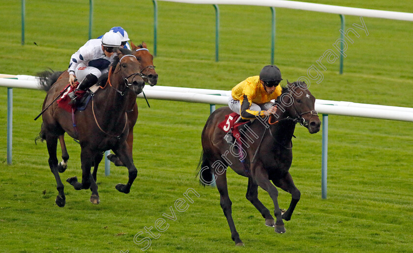 Luther-0004 
 LUTHER (Daniel Tudhope) wins The Betfair Ascendant Stakes
Haydock 7 Sep 2024 - Pic Steven Cargill / Racingfotos.com