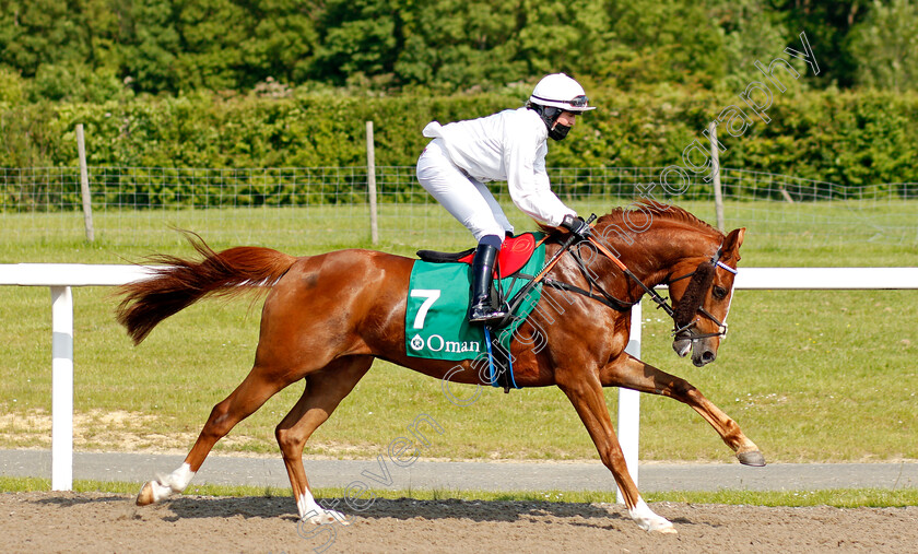 Gerko-De-Tenelle-0001 
 GERKO DE TENELLE (Sophie Reed)
Chelmsford 3 Jun 2021 - Pic Steven Cargill / Racingfotos.com