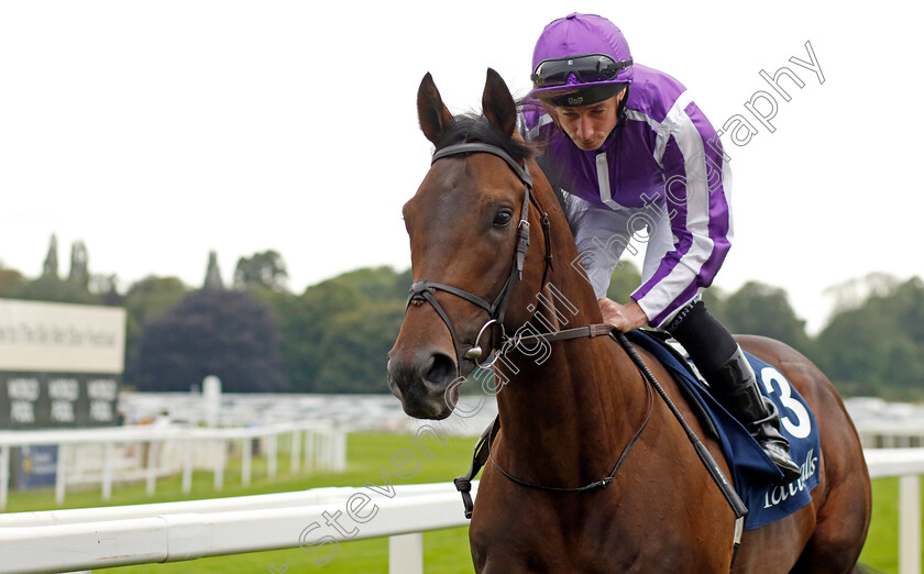 Edwardian-0001 
 EDWARDIAN (Ryan Moore)
York 23 Aug 2023 - Pic Steven Cargill / Racingfotos.com