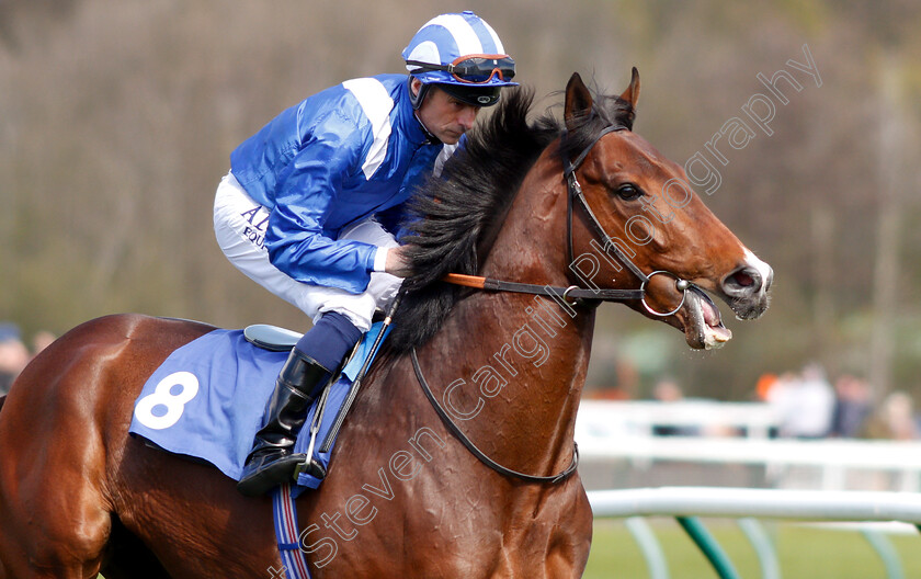 Mokammal-0001 
 MOKAMMAL (Dane O'Neill)
Nottingham 10 Apr 2019 - Pic Steven Cargill / Racingfotos.com