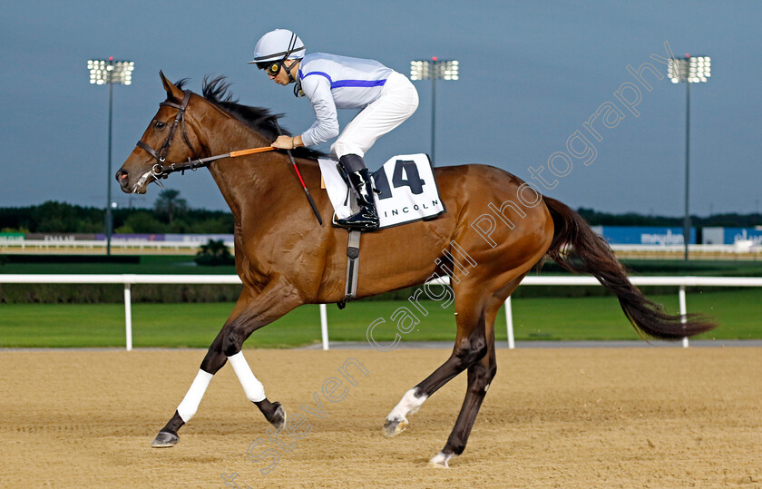 Kibo-Misaki-0001 
 KIBO MISAKI (Mickael Barzalona)
Meydan 2 Feb 2024 - Pic Steven Cargill / Racingfotos.com