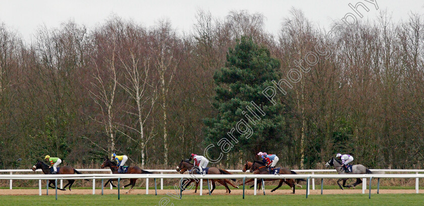 Chase-The-Dollar-0002 
 CHASE THE DOLLAR (Rossa Ryan) in second place on his way to winning The Heed Your Hunch At Handicap
Southwell 13 Feb 2022 - Pic Steven Cargill / Racingfotos.com