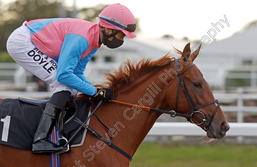 Naflah-0001 
 NAFLAH (Sean Levey)
Chelmsford 15 Oct 2020 - Pic Steven Cargill / Racingfotos.com