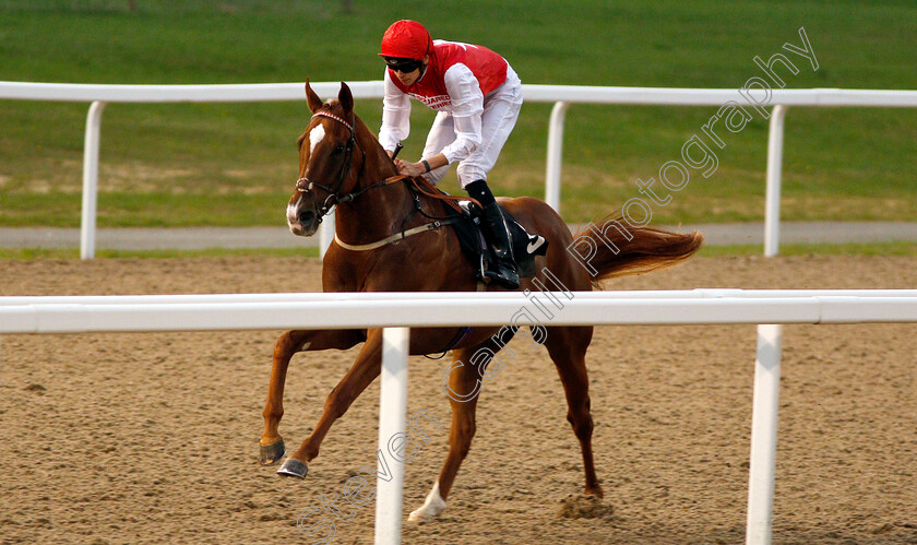 Roof-Garden-0002 
 ROOF GARDEN (Louis Steward) wins The Bet totequadpot At totesport.com Handicap
Chelmsford 6 Sep 2018 - Pic Steven Cargill / Racingfotos.com