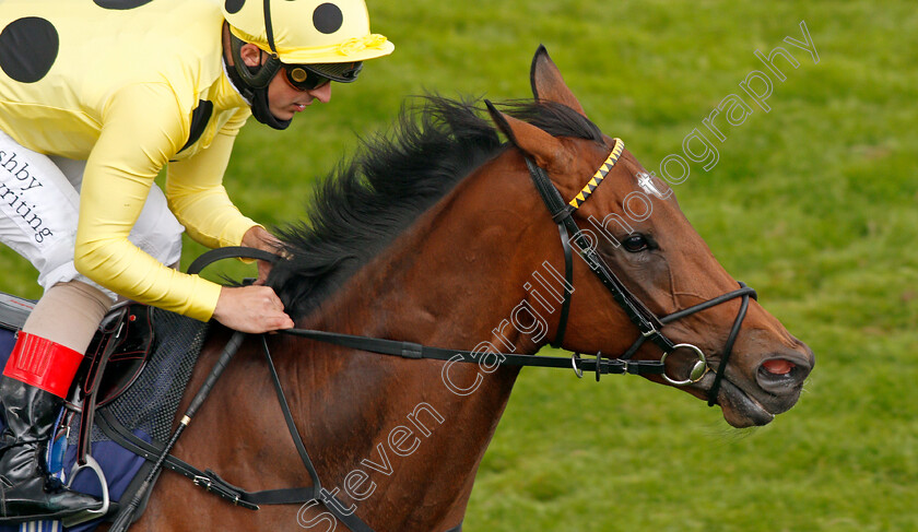 Aristocratic-Lady-0007 
 ARISTOCRATIC LADY (Andrea Atzeni) wins The Sky Sports Racing Sky 415 Handicap
Yarmouth 15 Jul 2020 - Pic Steven Cargill / Racingfotos.com