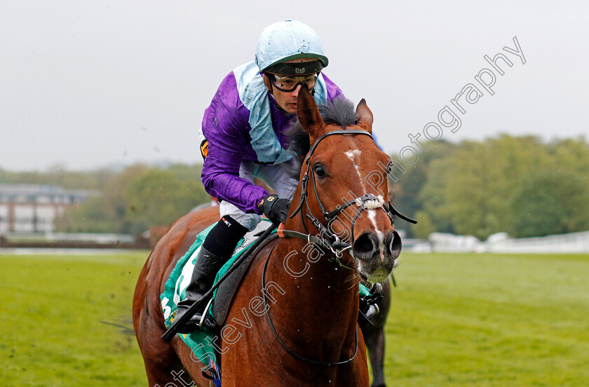 Merlin-Magic-0005 
 MERLIN MAGIC (Silvestre de Sousa) wins The bet365 Esher Cup Sandown 27 Apr 2018 - Pic Steven Cargill / Racingfotos.com