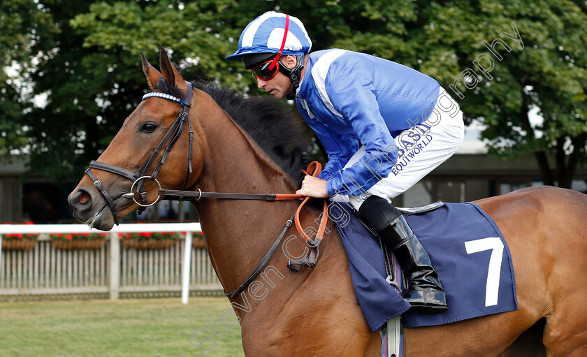 Hateel-0001 
 HATEEL (Dane O'Neill)
Newmarket 28 Jun 2018 - Pic Steven Cargill / Racingfotos.com